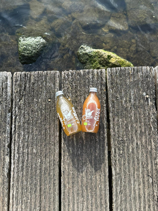 Quelle boisson Dude est faite pour vous ?