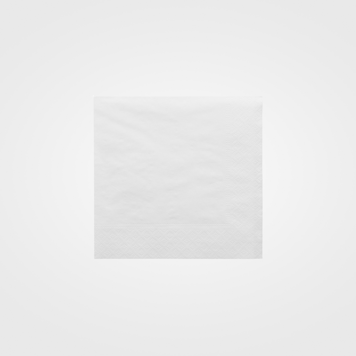 Serviettes 2 plis Ecolabel