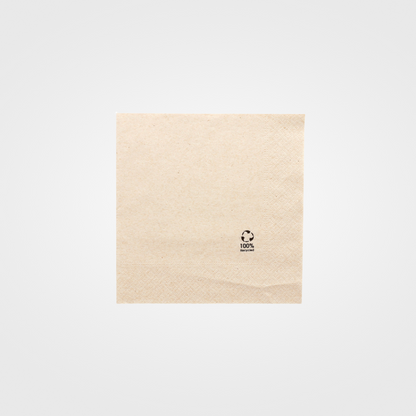 Serviettes 2 plis Ecolabel